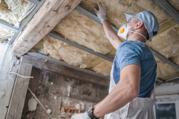 Trusted Justice, IL Insulation Contractor Experts